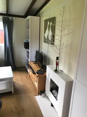 a living room with a fireplace and a television at Sherdale lodge in Builth Wells