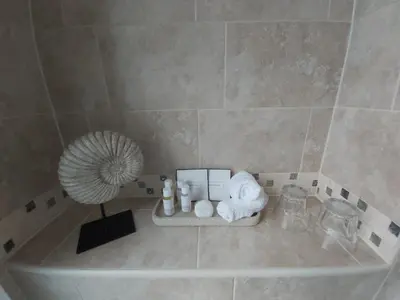 a bathroom with a shower with a towel rack and a fan at LLys Aeron 