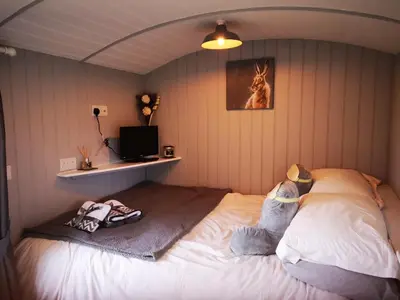 a bedroom with a large bed in a room at Pen-Rhos luxury glamping 