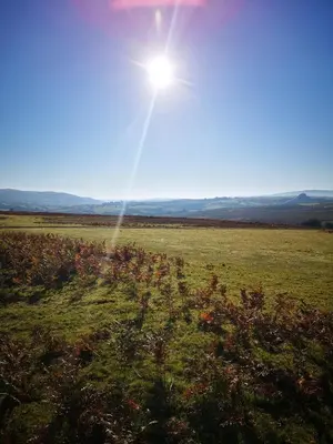 a field with the sun shining in the sky at Pen-Rhos luxury glamping 