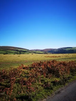 a grassy field with a road in the middle at Pen-Rhos luxury glamping 