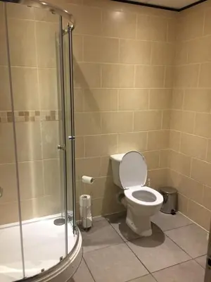 a bathroom with a toilet and a shower at Neuadd Henllan Lodge in Builth Wells