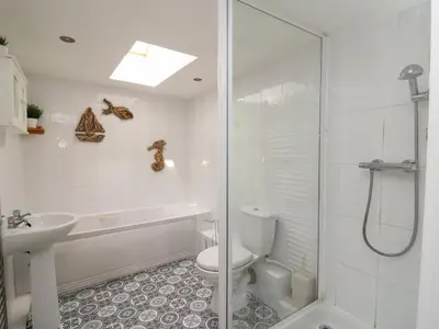 a bathroom with a shower and a toilet and a sink at Bari in Aberaeron