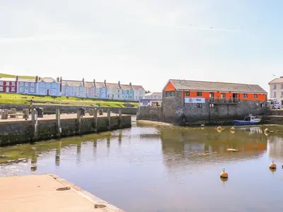 a river with buildings and ducks in the water at Bari in Aberaeron