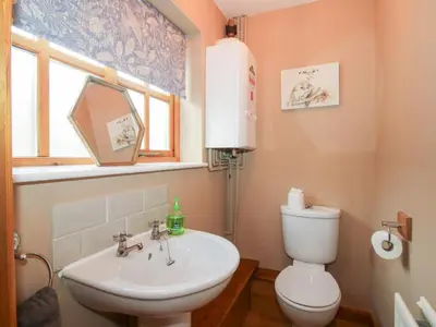 a bathroom with a sink and a toilet and a window at Old Hall Barn 2 in Church Stretton