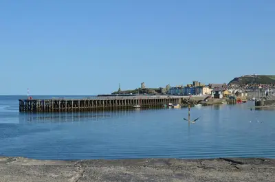 a bird flying over a body of water with a pier at 3 Bed in Aberystwyth oc-bow115 in Aberystwyth