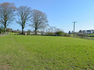 a field of green grass with trees in the background at Parlwr - Uk11210 in Cwrt-newydd