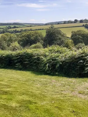 a field of grass with trees and bushes at Rhydyfran House Aberaeron, Lampeter, West Wales, Ceredigion in Lampeter
