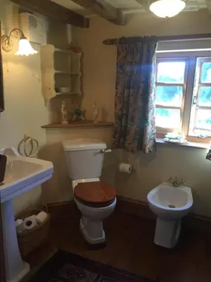 a bathroom with a toilet and a sink and a window at Lower House Farm B&B, Herefordshire in Hergest