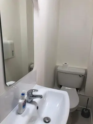 a bathroom with a sink and a toilet and a mirror at The Bell Hotel in Newtown