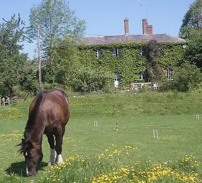 a horse grazing in a field in front of a house at Lower Buckton Country House in Leintwardine