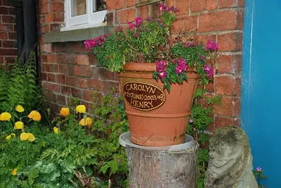 a pot of flowers sitting on top of a stump at Lower Buckton Country House in Leintwardine