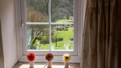 a window with three flowers in front of it at Maes Glas in Mallwyd