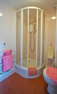 a bathroom with a shower and a toilet at Gwesty Minffordd Hotel in Tal-y-llyn