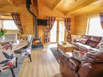 a living room with a couch and a fireplace at Manor Farm Lodges - Red Kite Lodge in Newtown