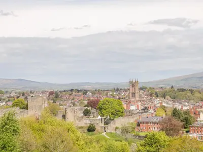 a cityscape of a town with a castle at High Grove in Ludlow