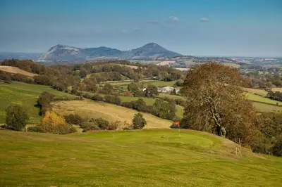a green field with trees and mountains in the background at 2 Bed in Welshpool oc-wab256 in Berriew