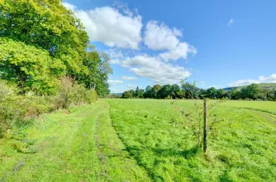 a field of green grass with a dirt road at 2 Bed in Crugybar oc-waw323 in Llansawel