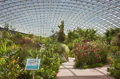 a greenhouse filled with lots of plants and flowers at 2 Bed in Crugybar oc-waw323 in Llansawel
