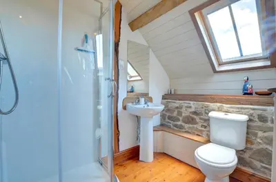 a bathroom with a toilet and a sink at 2 Bed in Crugybar oc-waw324 in Llansawel
