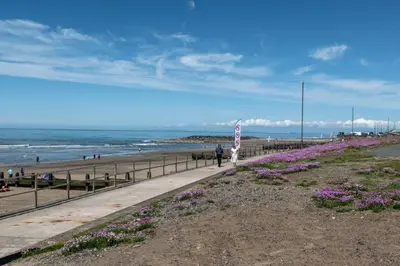 a person standing on a sidewalk near the beach at 2 Bed in Tywyn oc-wah595 in Llanegryn