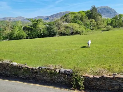 a sheep grazing in a field of green grass at Moelwyn View Cottage in Blaenau-Ffestiniog