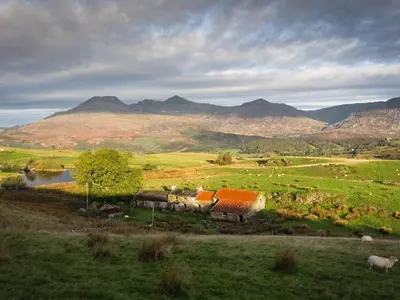 a herd of sheep in a field with mountains in the background at Moelwyn View Cottage in Blaenau-Ffestiniog