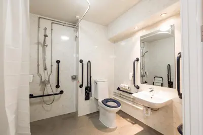 a bathroom with a toilet and a sink and a shower at Starling Cloud in Aberystwyth