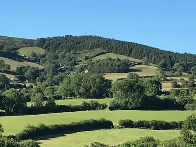a green field with trees on a hillside at RedWood Lodge in Ludlow
