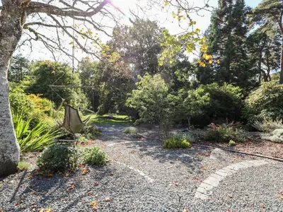 a garden with trees and bushes and a gravel road at The Pheasantry in Builth Wells