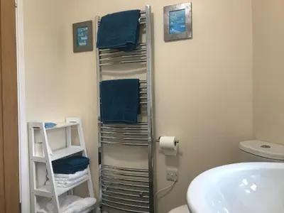 a bathroom with a towel rack next to a sink at Maesyfelin Isaf Apartment in Llanybydder