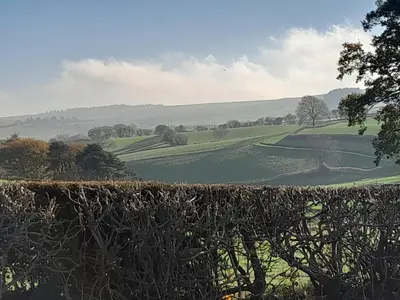 a view of a field from behind a hedge at The Dolfor Inn in Newtown