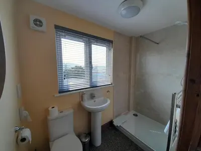 a bathroom with a toilet and a sink and a window at The Dolfor Inn in Newtown