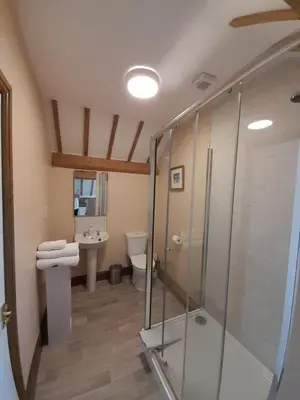 a bathroom with a shower and a toilet and a sink at The Dolfor Inn in Newtown