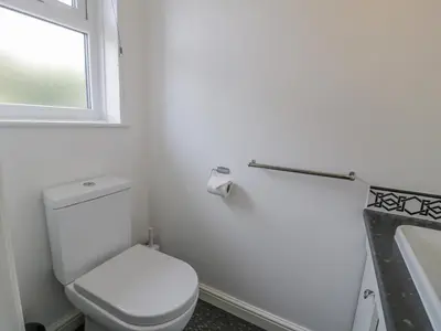 a bathroom with a toilet and a sink and a window at Bryn Coch Bach in Dyffryn