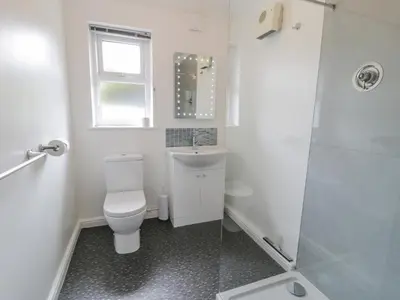 a bathroom with a toilet and a sink and a shower at Bryn Coch Bach in Dyffryn