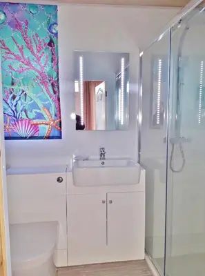 a white bathroom with a sink and a shower at Sea Moss Cabin in Tywyn
