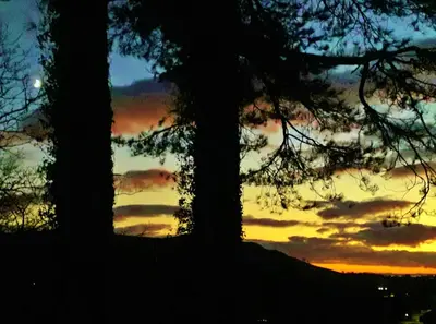 a sunset behind two trees in a field at Sea Moss Cabin in Tywyn