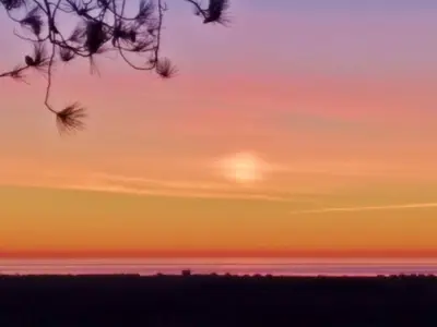 a sunset over the ocean with a tree in the foreground at Sea Moss Cabin in Tywyn