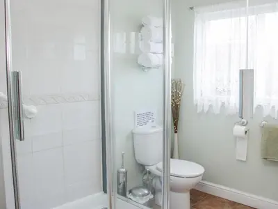 a white bathroom with a toilet and a shower at Ensdon Lea Cottage in Shrewsbury