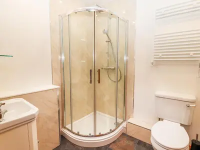 a bathroom with a shower and a toilet at The Old Cart House in Oswestry