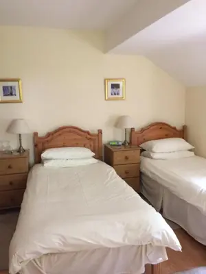 a bedroom with two beds and two night stands at TAN Y GRAIG in Meifod