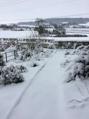 a path covered in snow in a garden at TAN Y GRAIG in Meifod