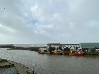 a group of boats are docked in the water at 46 Y Lanfa in Aberystwyth