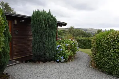a garden with bushes and a house with a tree at Hillside View in Rhayader