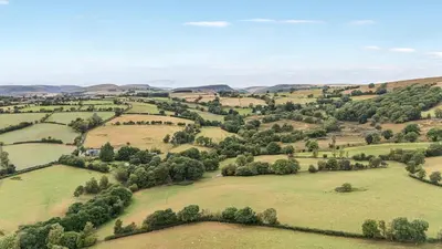 an aerial view of a green field with trees at Valley View in Rhayader