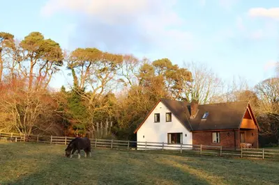 a horse grazing in a field in front of a house at Plas Dolau Country Estate in Aberystwyth