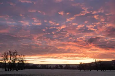 a cloudy sky with trees in a field at sunset at Plas Dolau Country Estate in Aberystwyth