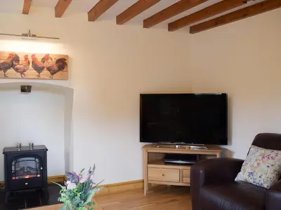 a living room with a tv and a couch and a stove at Bwthyn Glanllyn in Llanuwchllyn