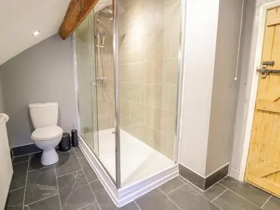 a bathroom with a shower and a toilet at Groes Heol in Machynlleth